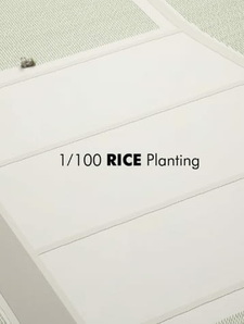 1/100 посадка риса