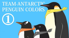 Цвета антарктических пингвинов