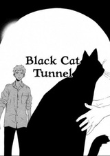 Тоннель чёрной кошки